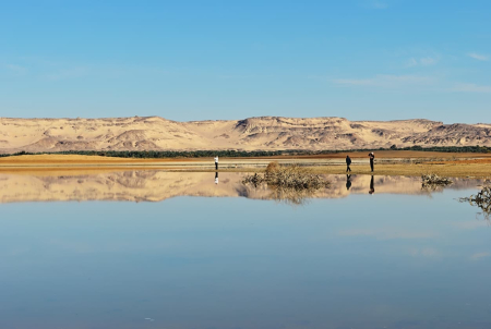 El Oasis de Farafra